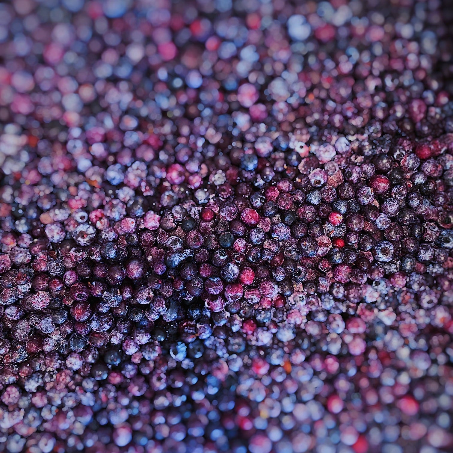 Zero Waste Product Highlight: Blueberries
