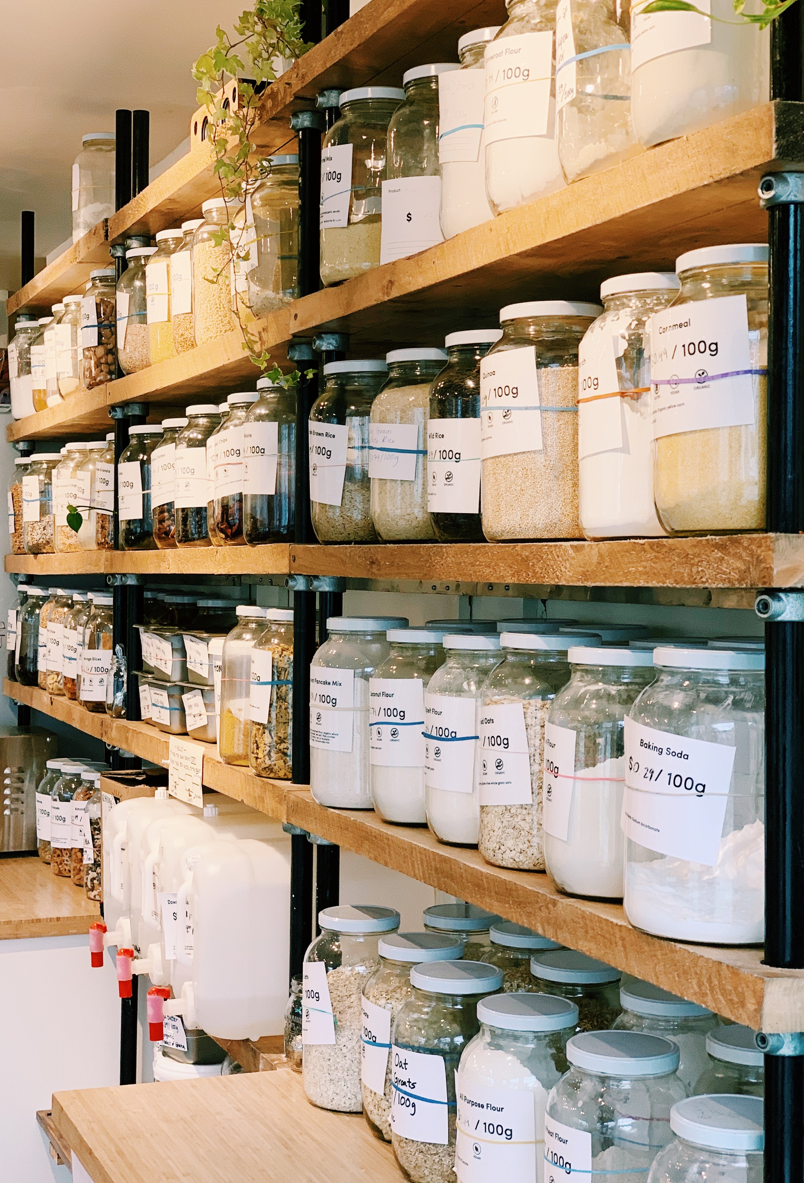 shelves of glass jars with various bulk groceries