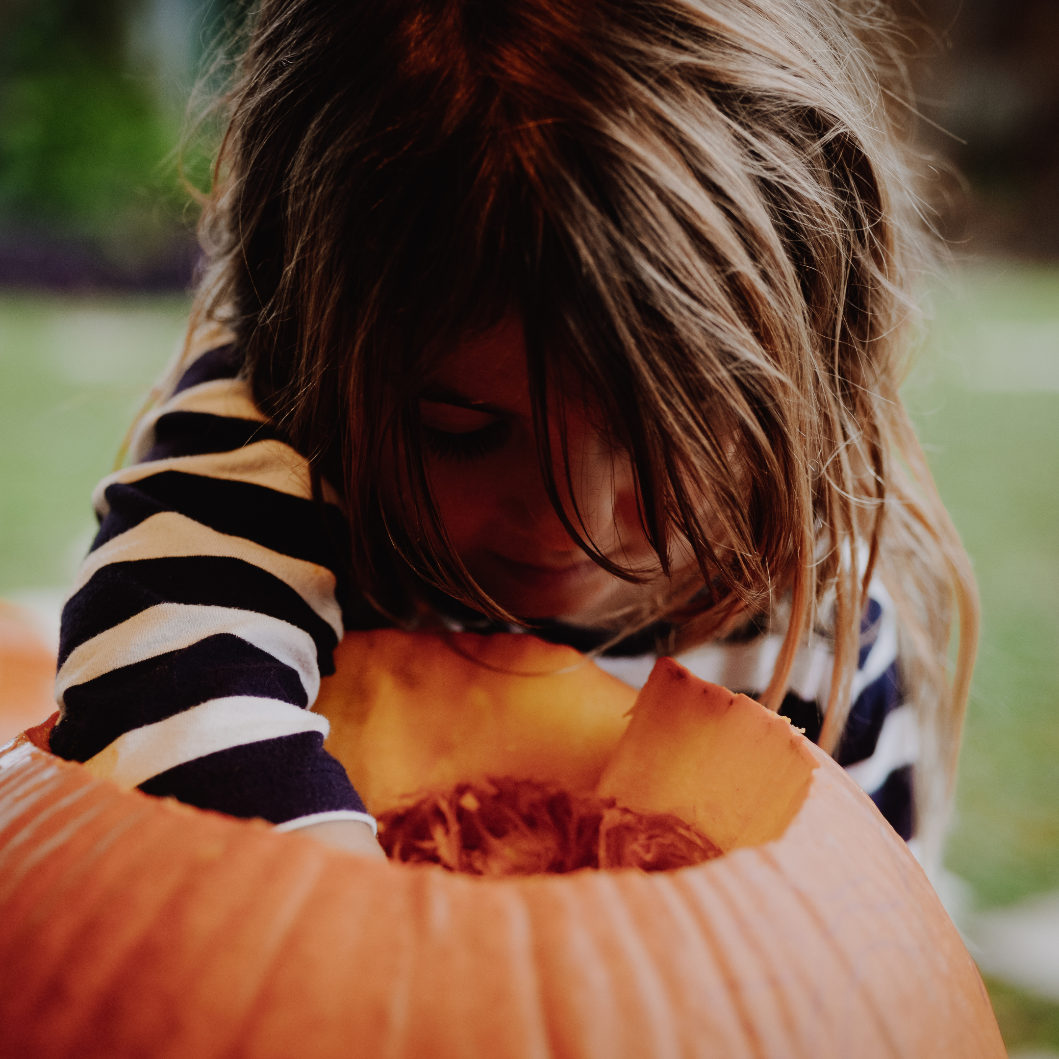Child reaches arm into a large pumpkin to scoop out its seeds.