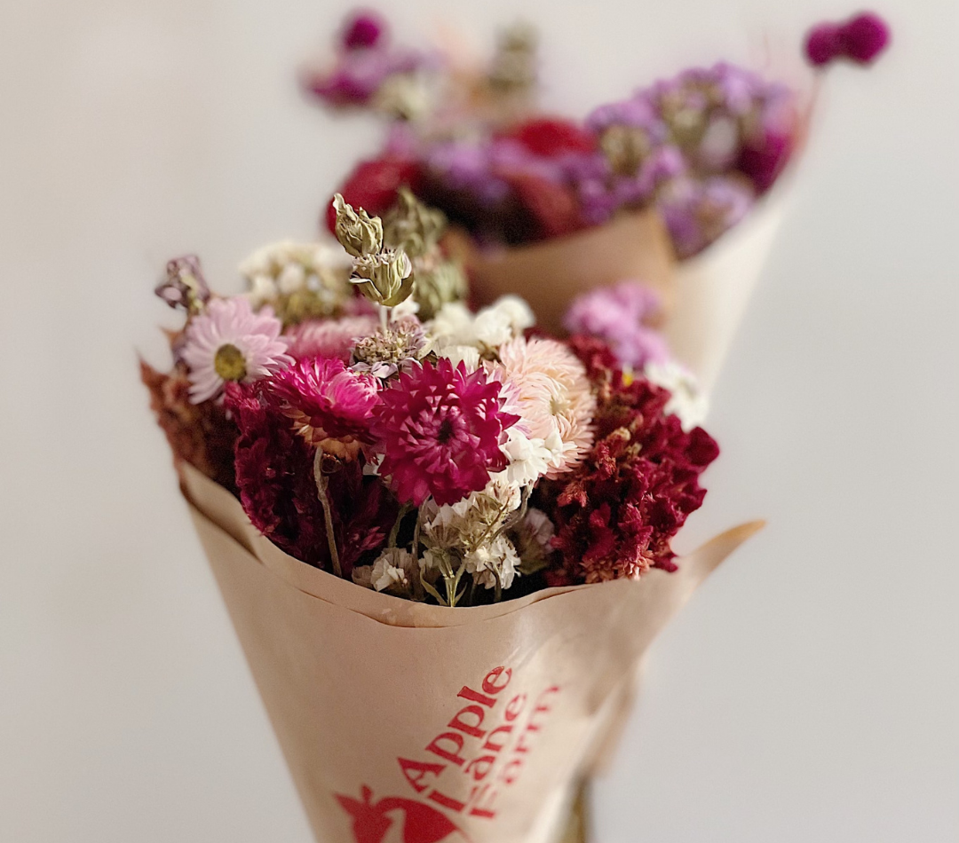 Two bouquets of dried flowers - these make the perfect valentines day gift.